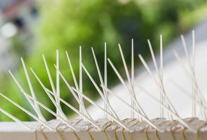 Anti-Bird Spikes