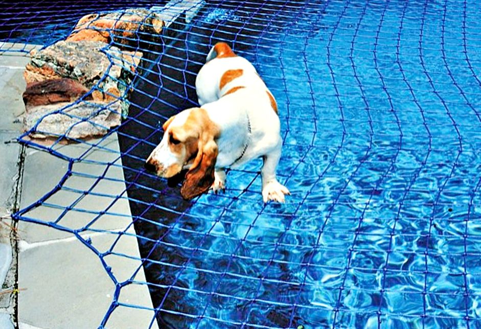 Swimming Pool Safety Nets